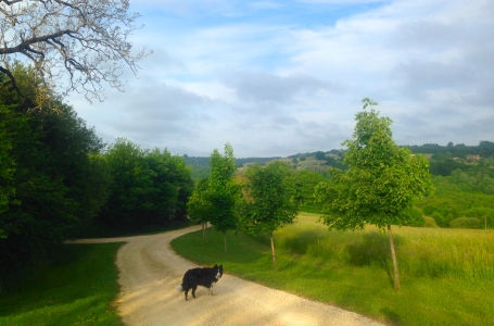 Trail Running Holidays in Dordogne, France - Ancient chemins